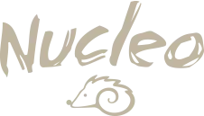 NUCLEO NUCLEO