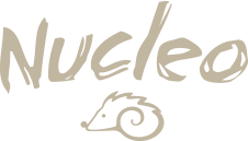 NUCLEO NUCLEO