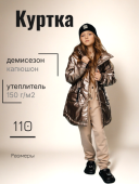 Куртка демисезонная для девочки (С-742) Куртка демисезонная для девочки (С-742)