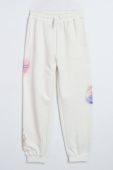 Брюки трикотажные для девочки (243-0117G-06-250-1) Брюки трикотажные для девочки (243-0117G-06-250-1)